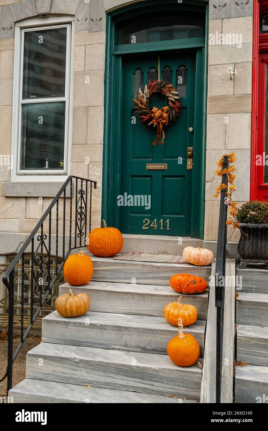 Halloween frame 3 with various objects - color illustration Stock Photo ...