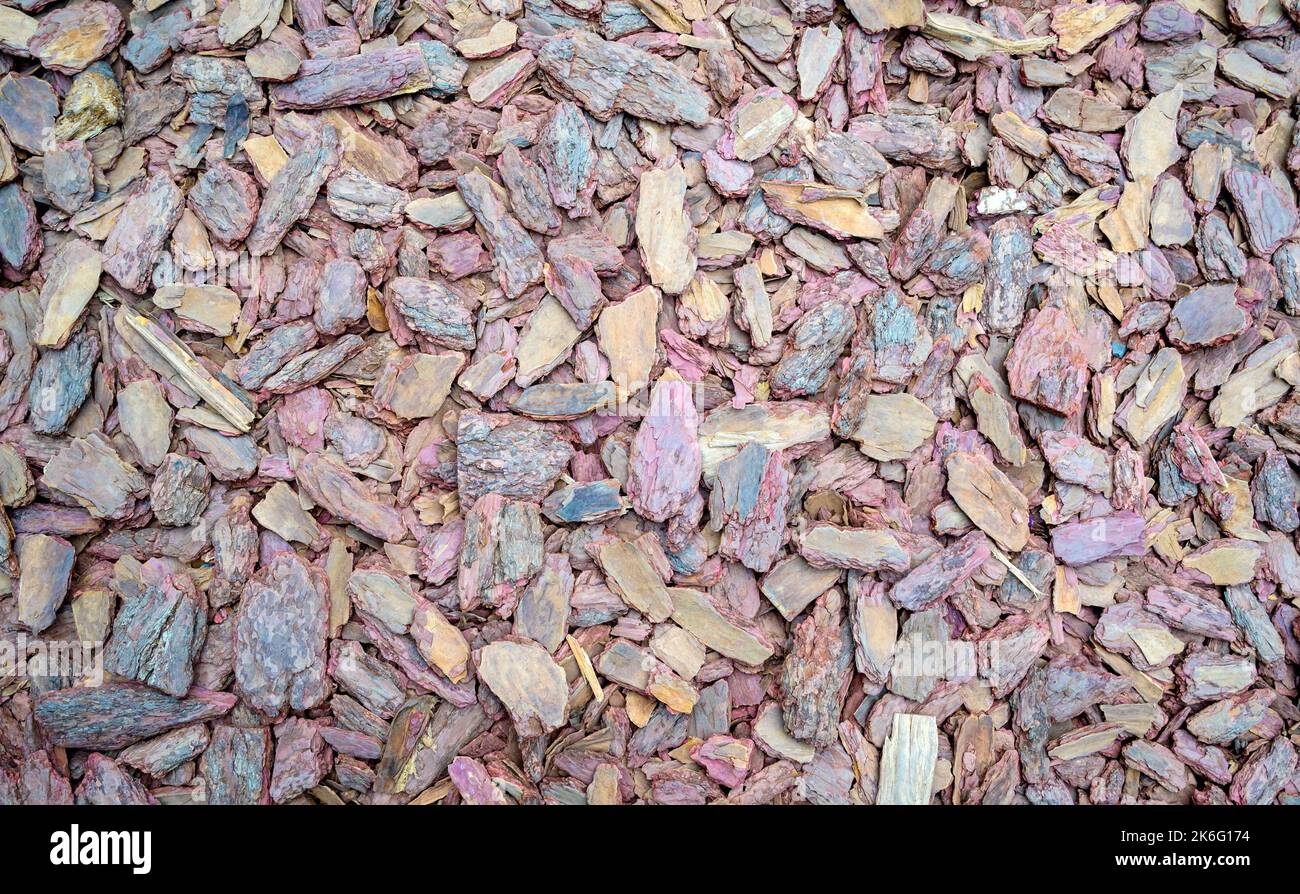 Shredded tree bark texture background. Stock Photo