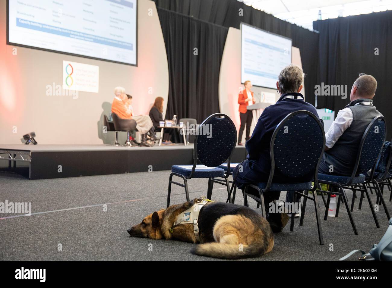 An alsatian guide dog lies on the floor next to a conference attendee