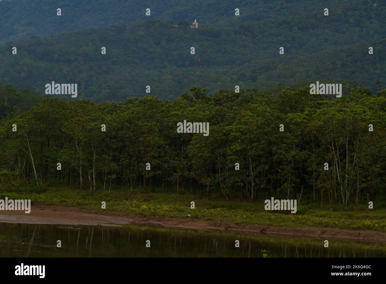 Teak plantation hi-res stock photography and images - Alamy