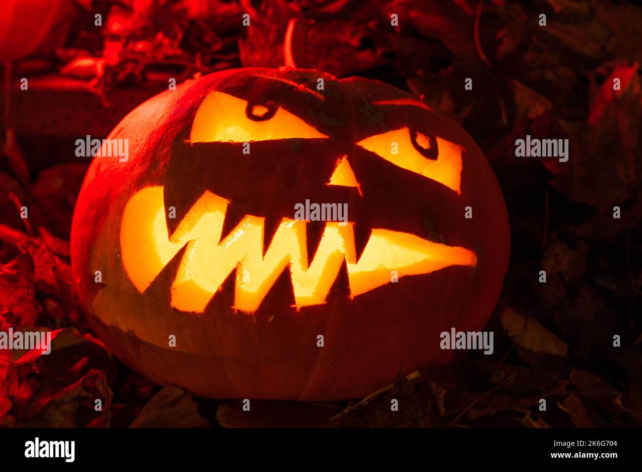 Halloween Pumpkin / Kürbis / Trick or Treat / Horror / Herbstdecko / Herbstzeit / Oktober / Halloweenparty / Zombie Stock Photo