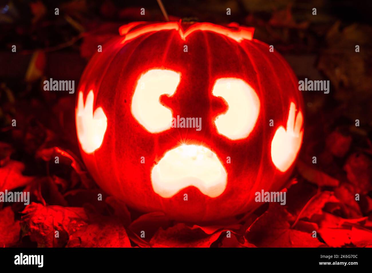 Halloween Pumpkin / Kürbis / Trick or Treat / Horror / Herbstdecko / Herbstzeit / Oktober / Halloweenparty / Zombie Stock Photo