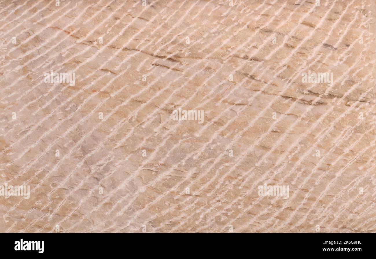 Surface of a light brown natural stone with white lines Stock Photo