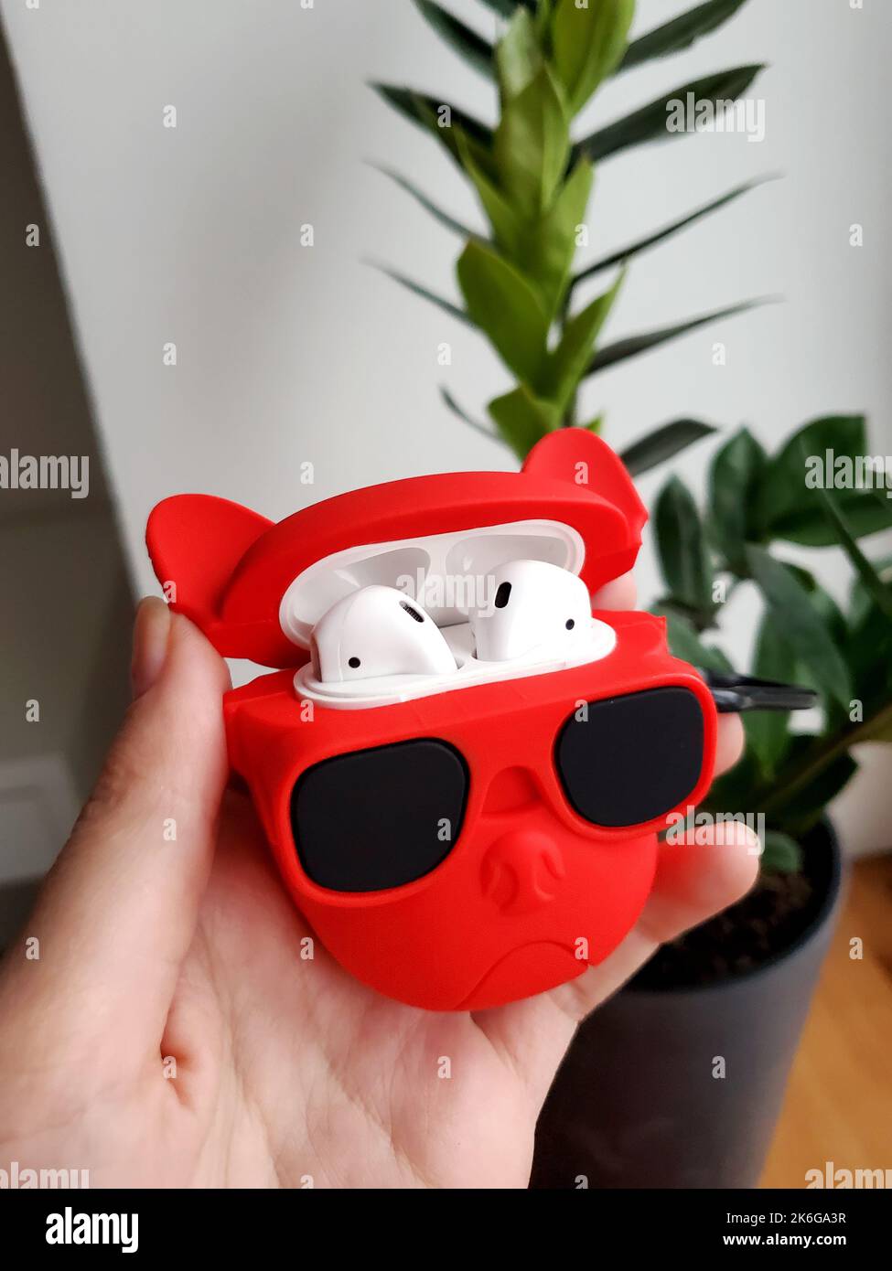 Headphone case in the shape of a red dog's head with glasses Stock