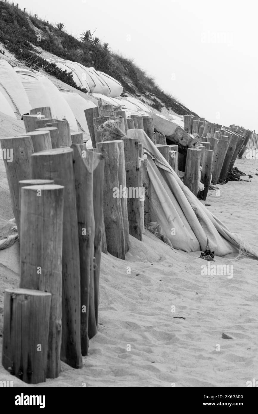 Vertical print use, beach scene with wood fences on dand dunes. Black and white photography of beach sand dunes, zen and mental health images. Stock Photo