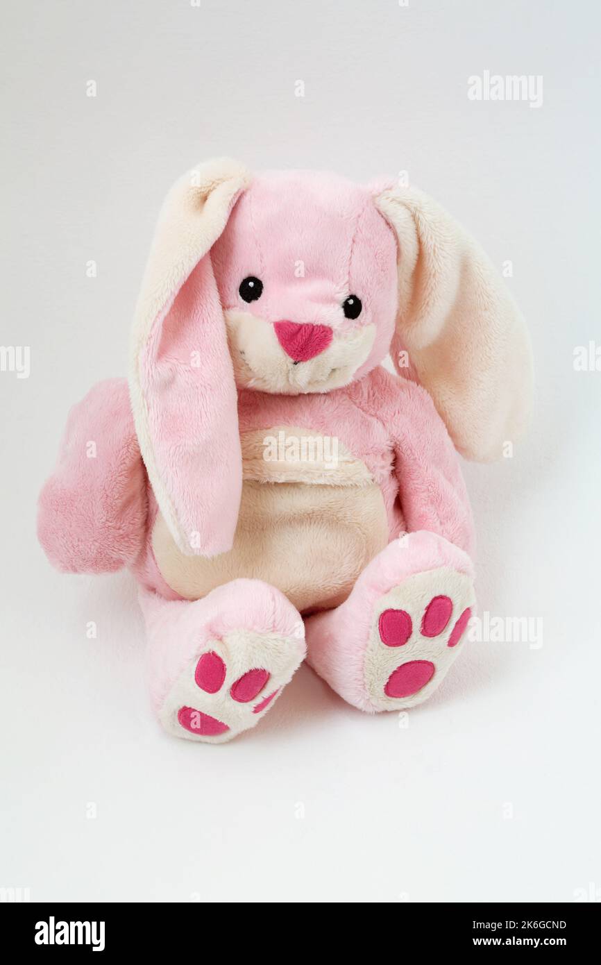 Warm cuddles Soft Rabbit with Microwavable Wheat cushion (Heat Pad