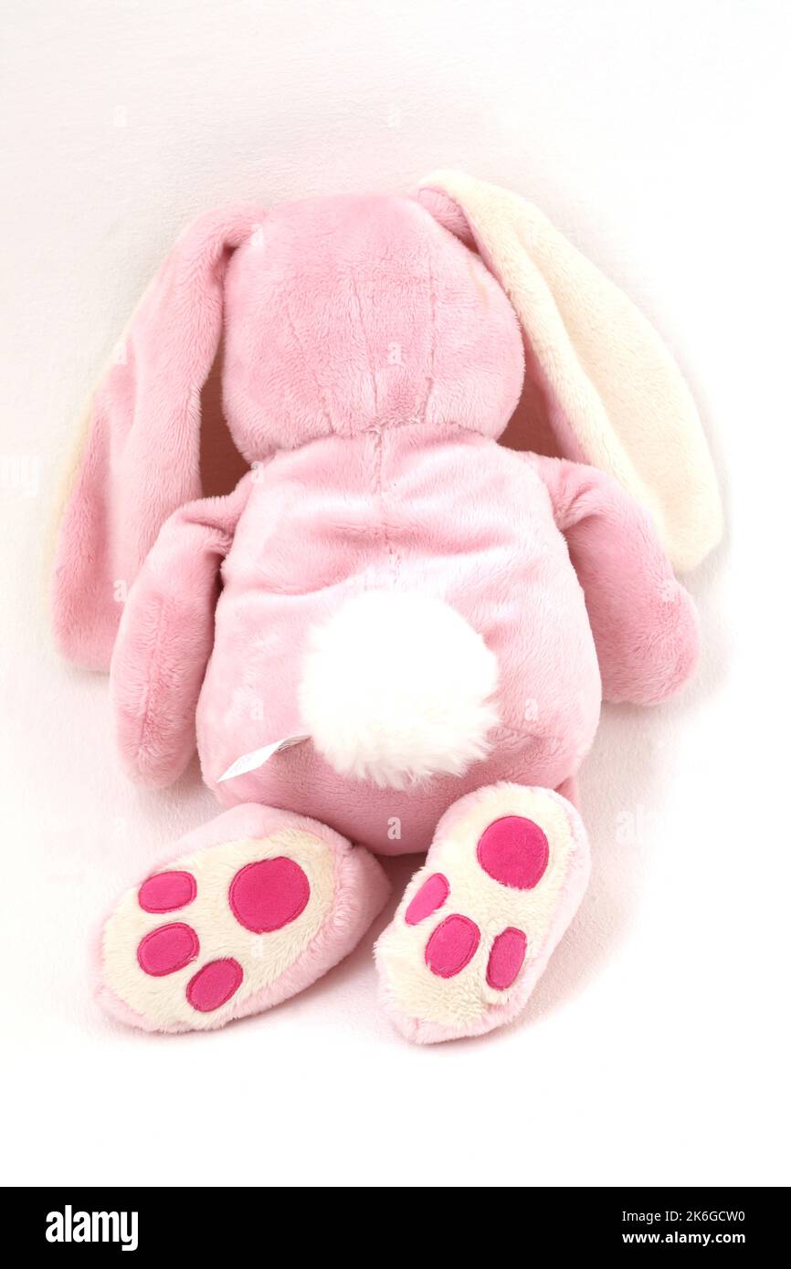 Warm cuddles Soft Rabbit with Microwavable Wheat cushion (Heat Pad ...