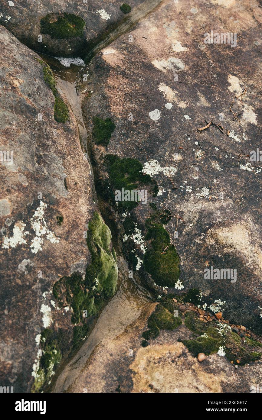 A closeup of water flowing in between rocks with moss Stock Photo - Alamy