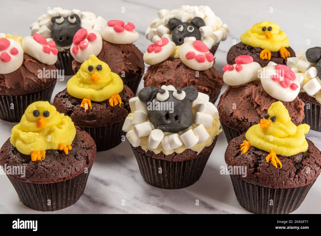 Chocolate Spring cupcake assortment Stock Photo
