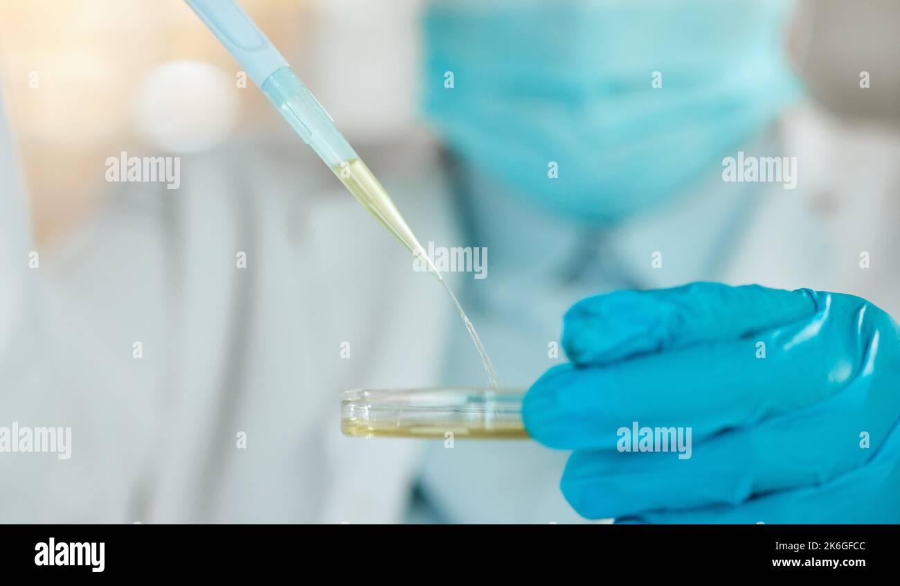 What reaction will this produce. an unrecognisable scientist holding a petri dish and using a dropper in her laboratory. Stock Photo