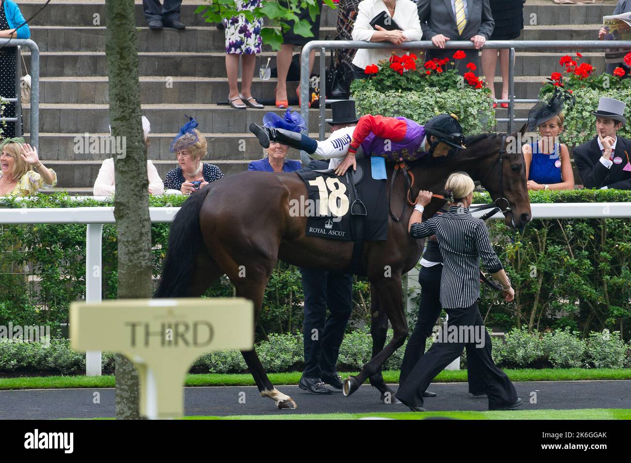 Ascot, Berkshire, UK. 20th June, 2013. Ryan Moore mounts horse Estimate before winning the Ascot Gold Cup. This was an historic day as it was the first time a reigning monarch had won the Gold Cup. Estimate was ridden by jockey Ryan Moore. Queen Elizabeth II was due to the presentation for the Gold Cup but her son, the Duke of York did the presentation instead. Issue Date: 14th October 2022. Credit: Maureen McLean/Alamy Stock Photo