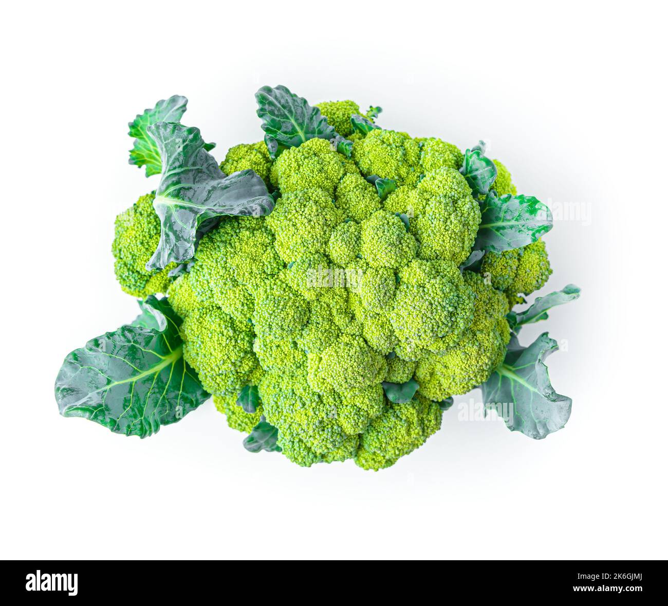 Broccoli is isolated on a white background. Stock Photo