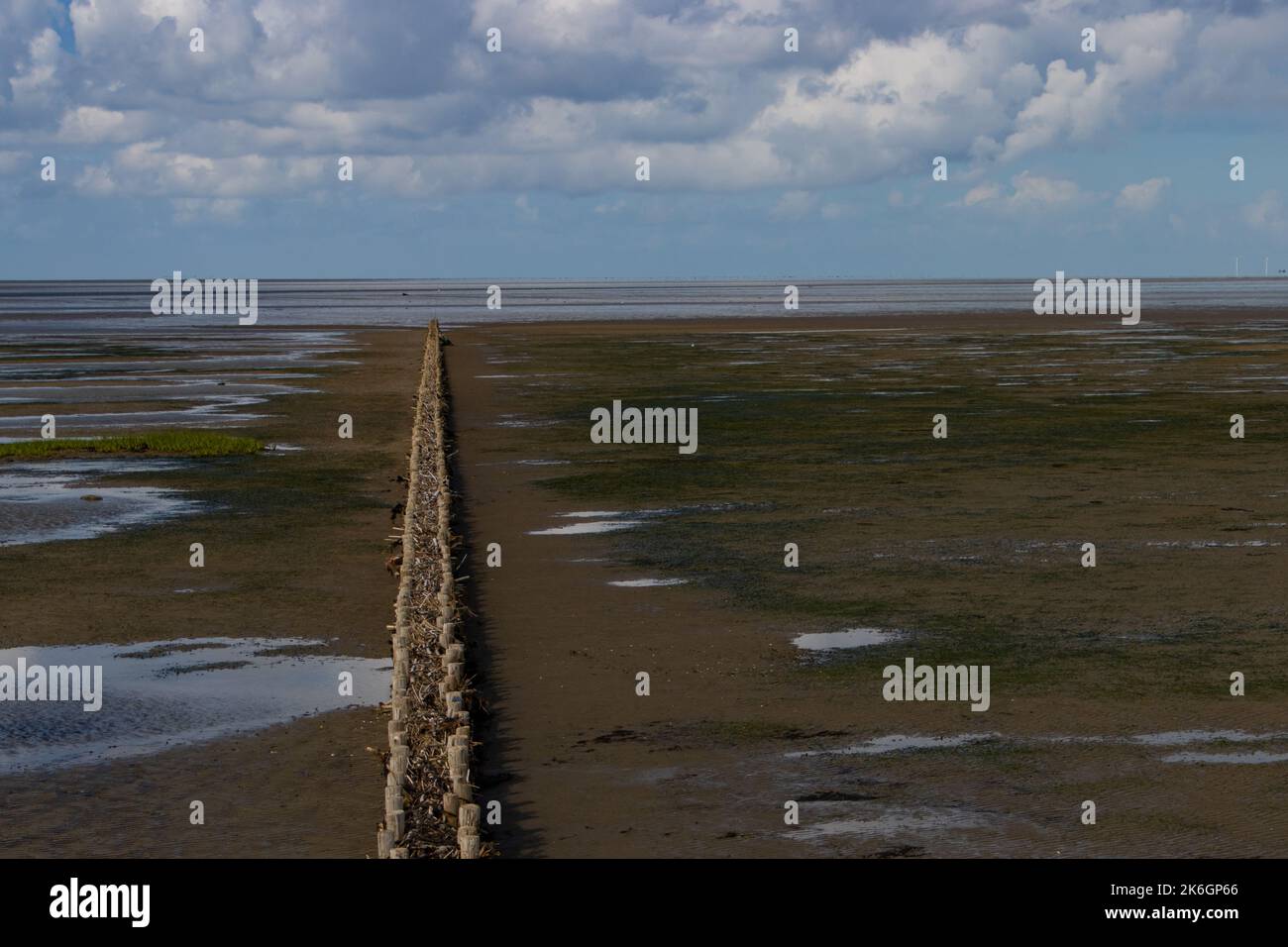 Wood barrier for land reclamation in the wadden sea, north sea Germany