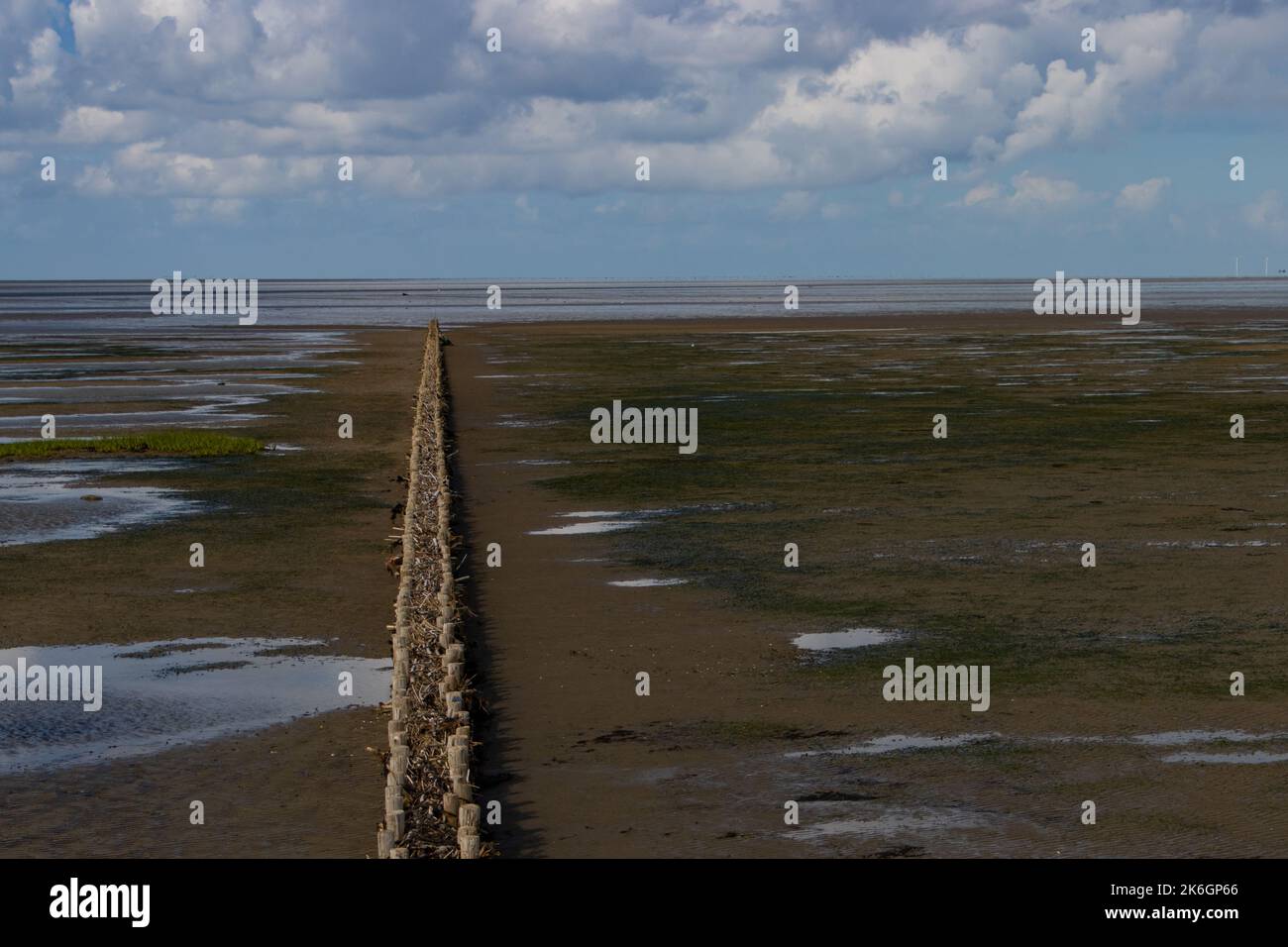 Wood barrier for land reclamation in the wadden sea, north sea Germany Stock Photo
