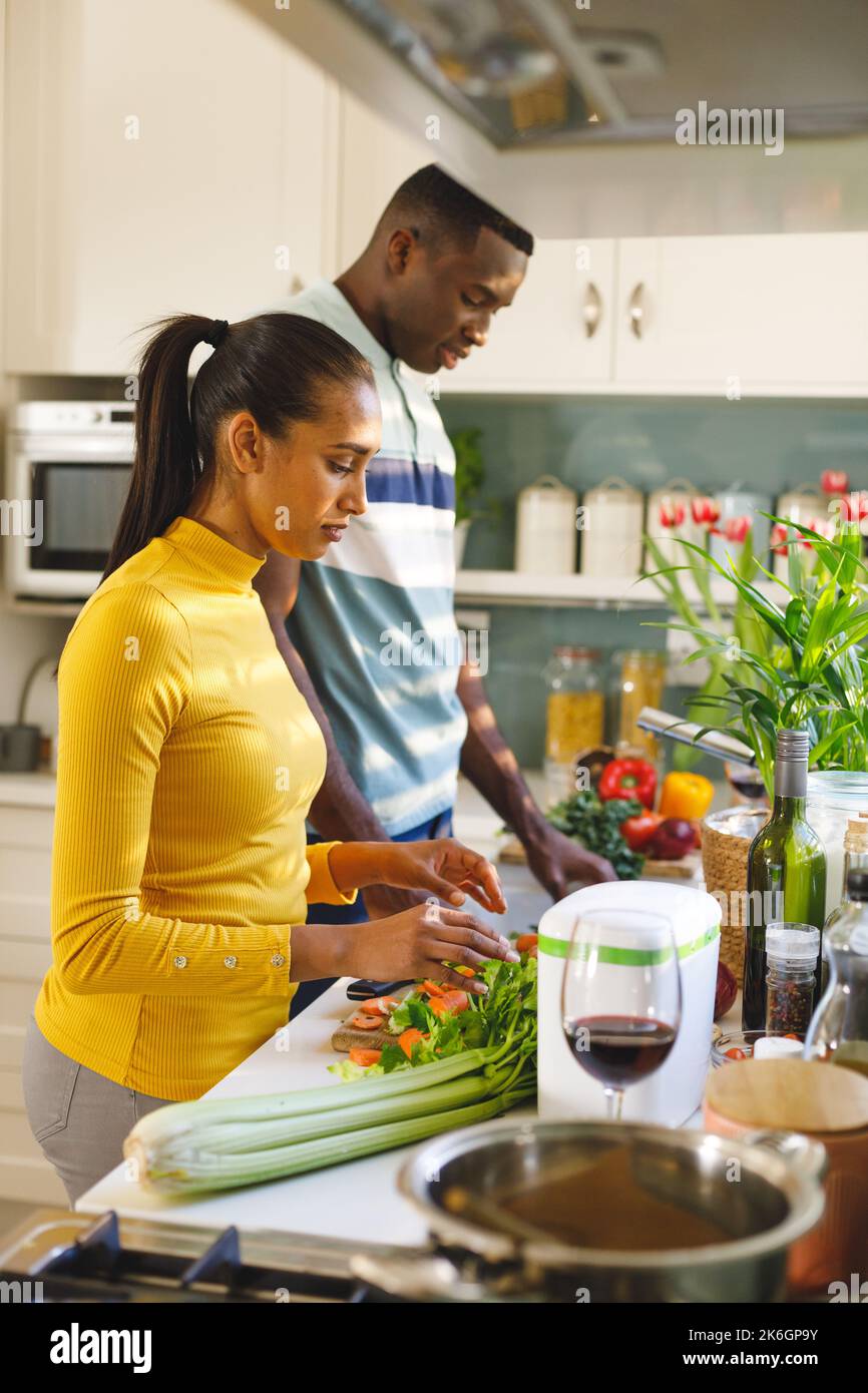 Vertical image of diverse couple preparing food together, washing and chopping vegetables in kitchen Stock Photo