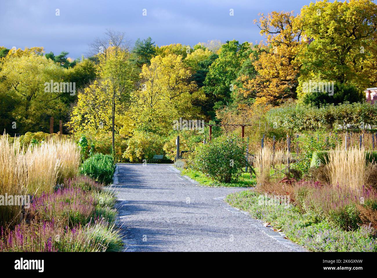 Pathway in a public garden with plants and trees in autumn colours ...