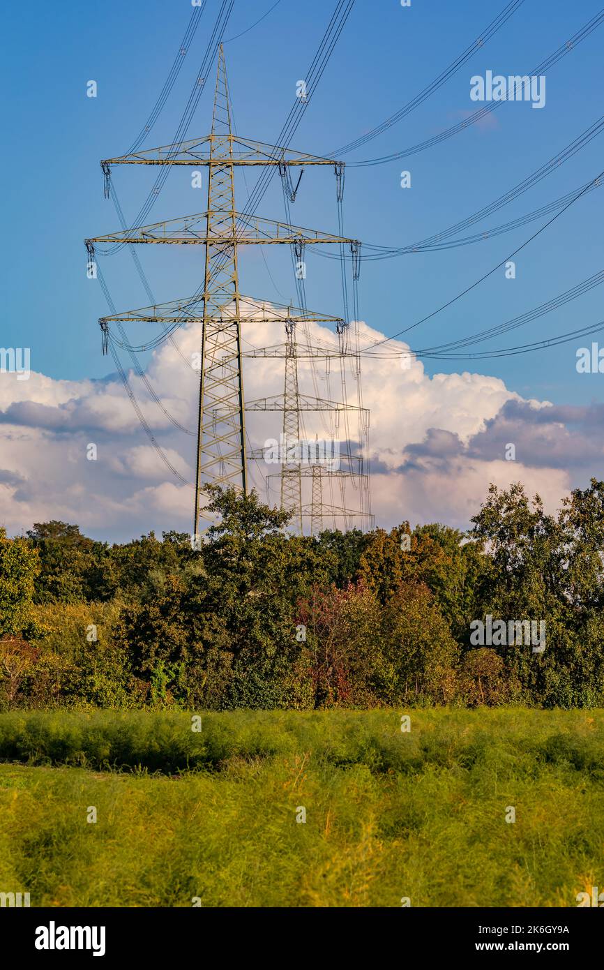 Power poles in rural area are necessary to energy crisis by
