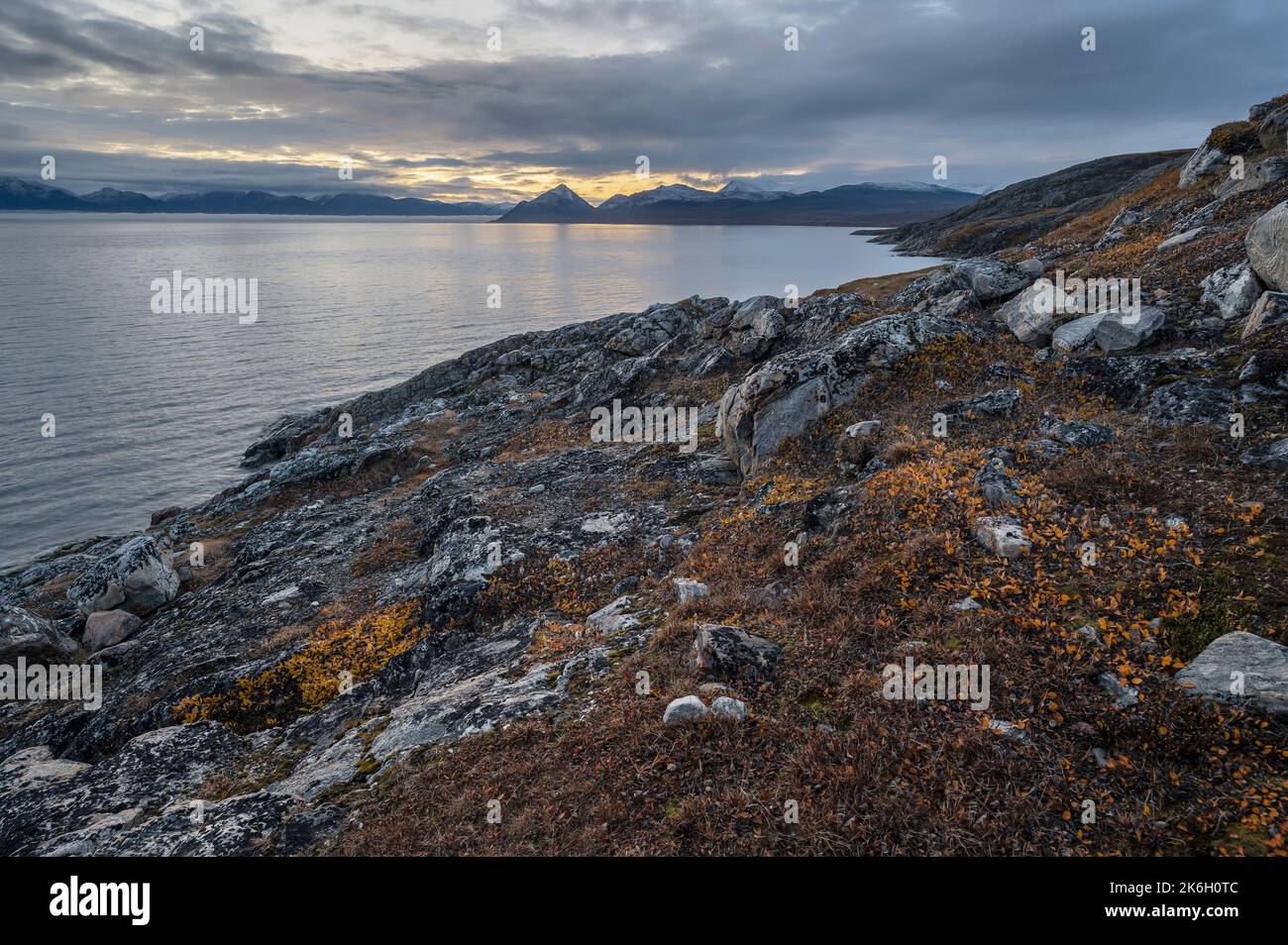 Early morning view of the Byam Martin Mountains and Arctic Ocean at