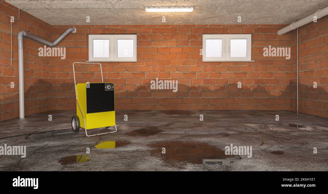 Mold after water damage due flood in the basement with a dryer to