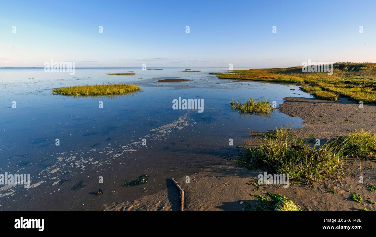 Bredebro hi-res stock photography and images - Alamy