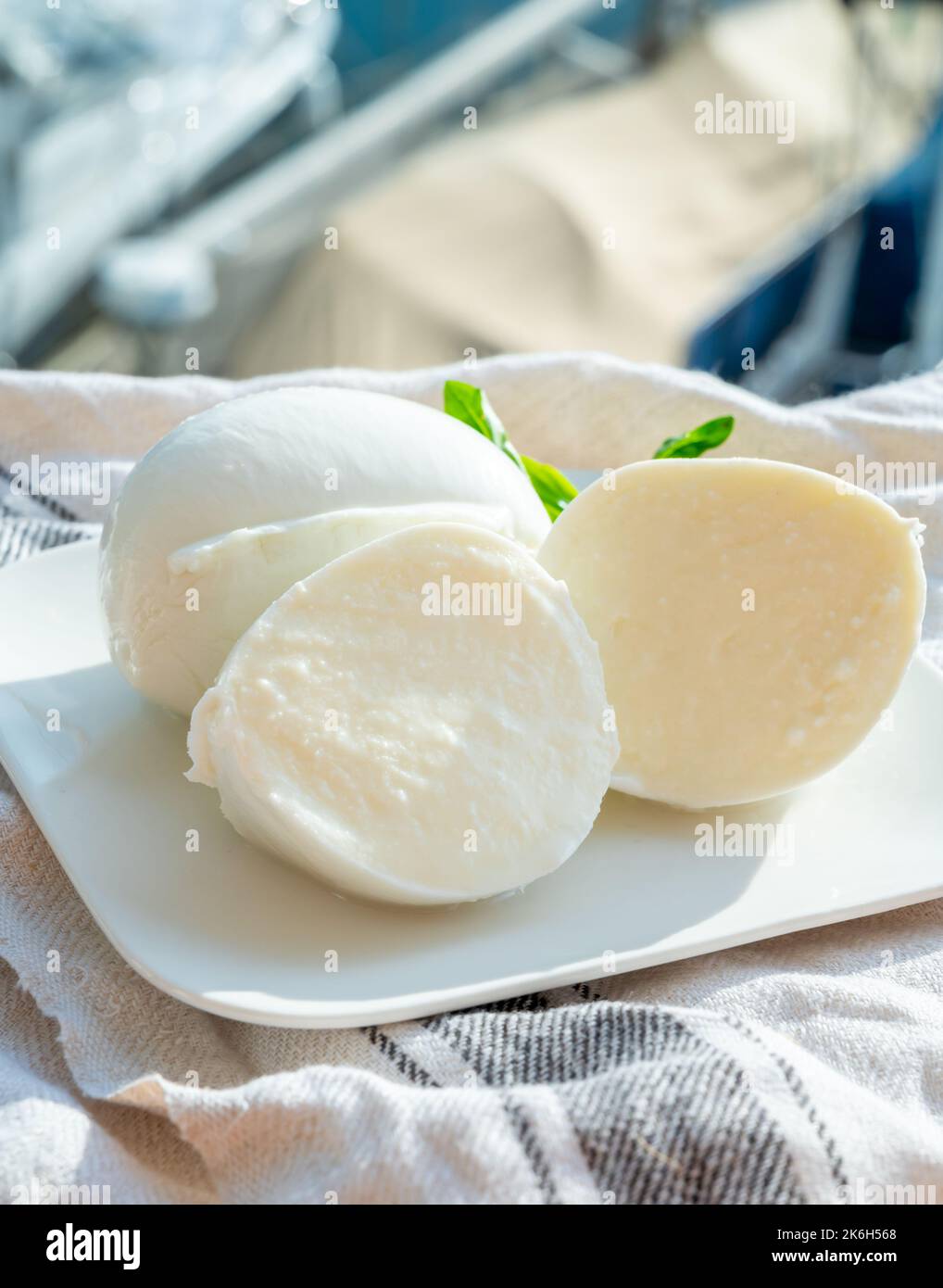 Tasting of white soft italian balls mozzarella cheese made from buffalo