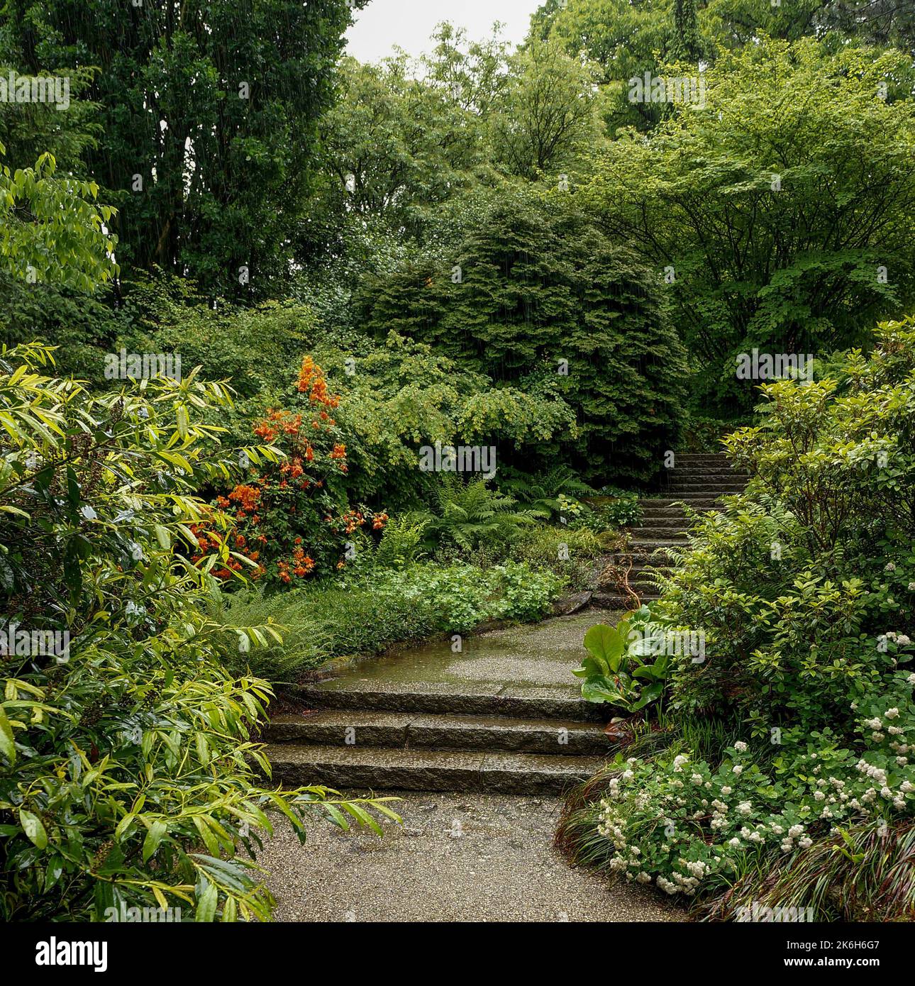 Stairway in Linz botanical garden Stock Photo - Alamy