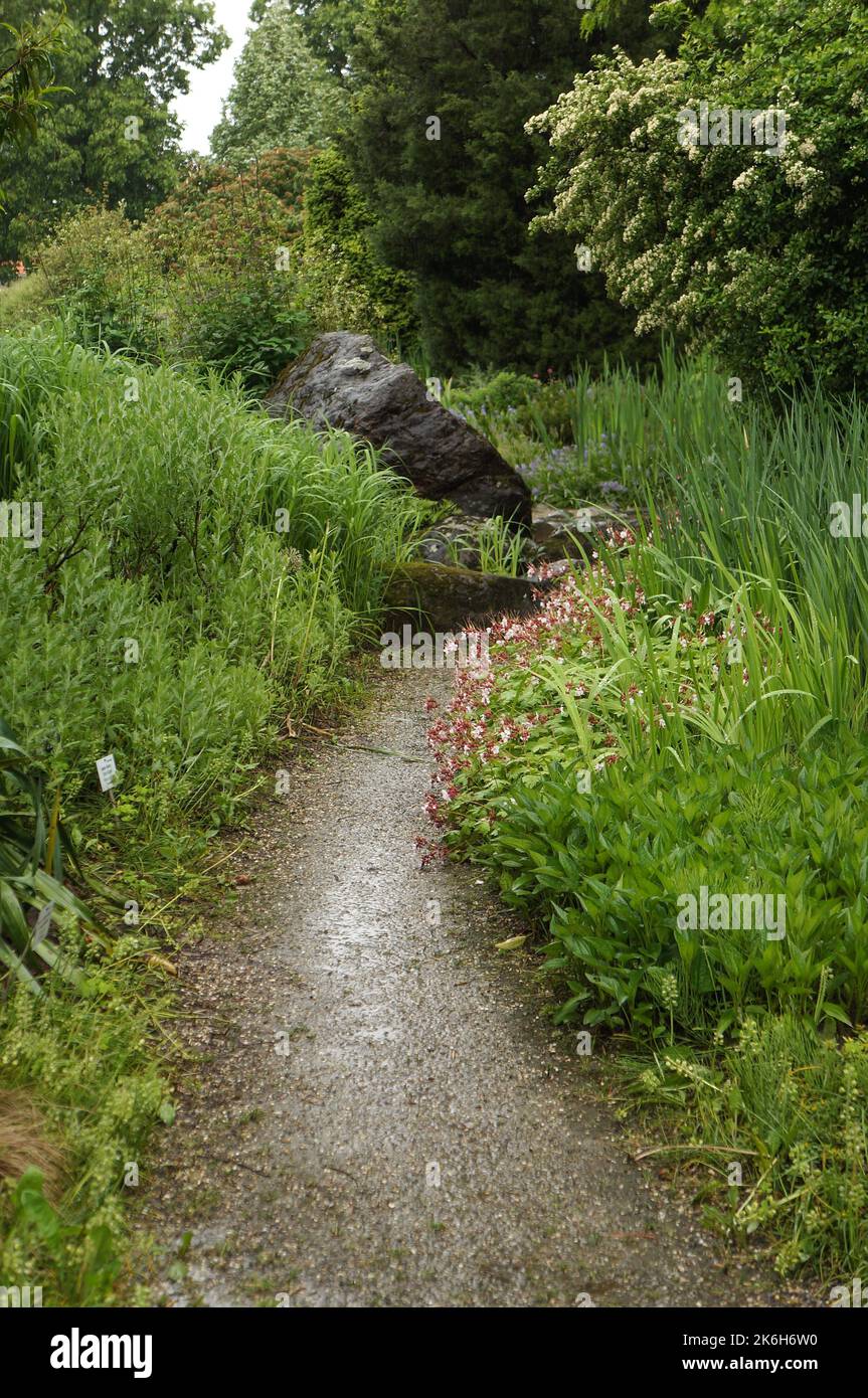 Gravel garden path hi-res stock photography and images - Alamy