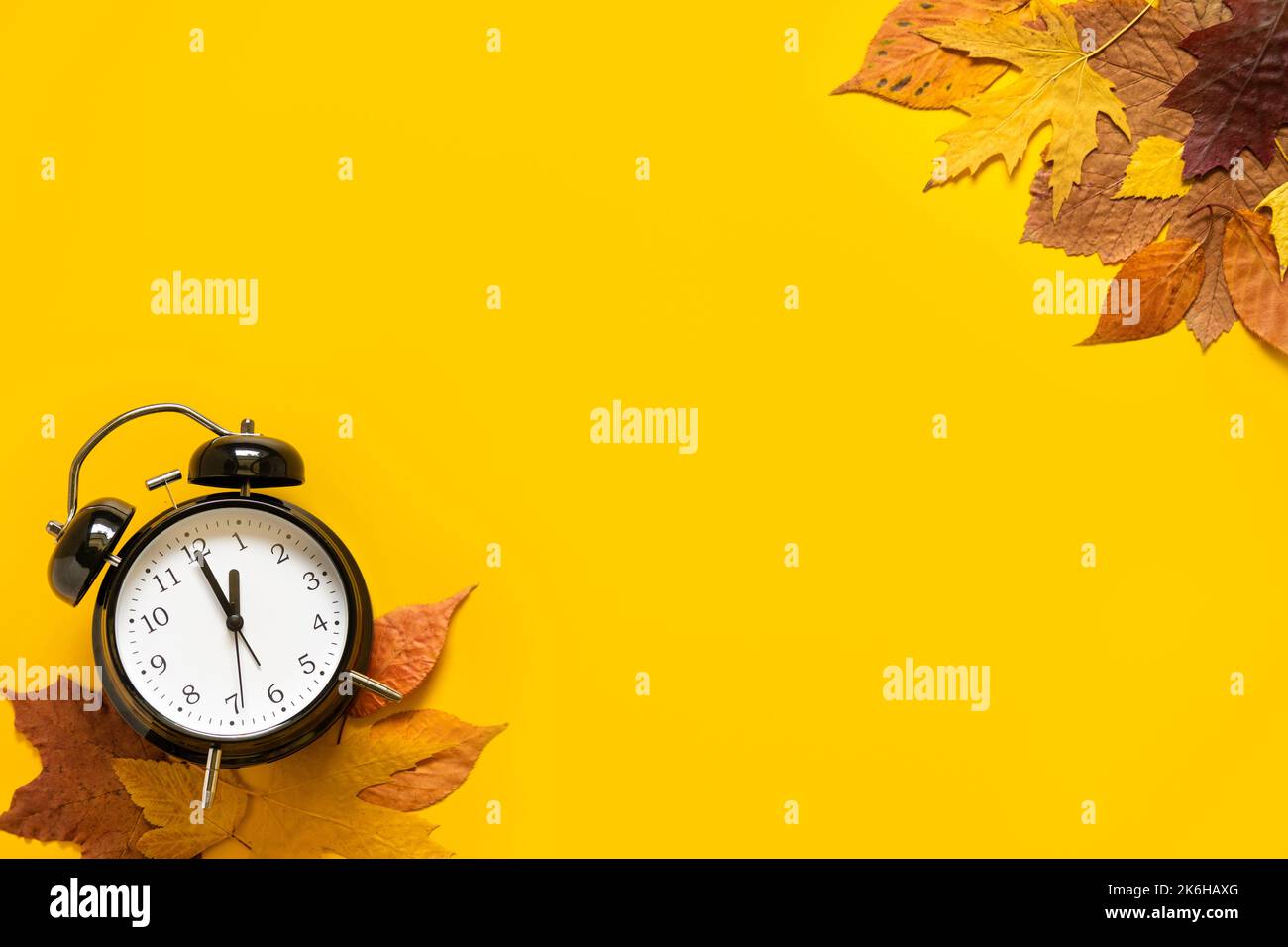 Daylight saving day. Fall Back. Black Alarm clock and autumn leaves on
