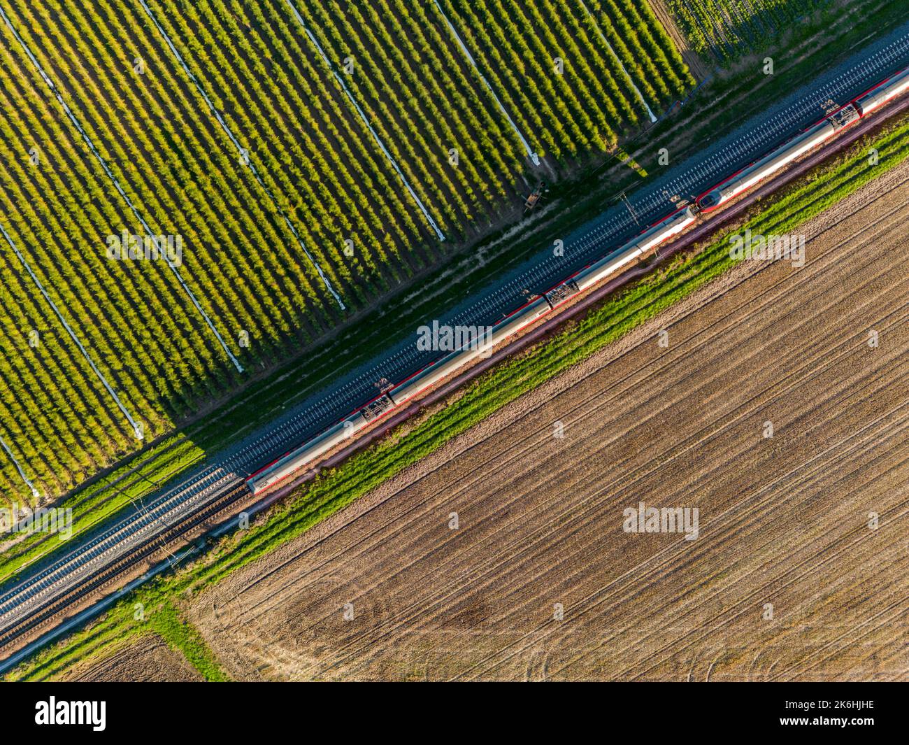 Aerial view of a train and railroad tracks between fields seen directly