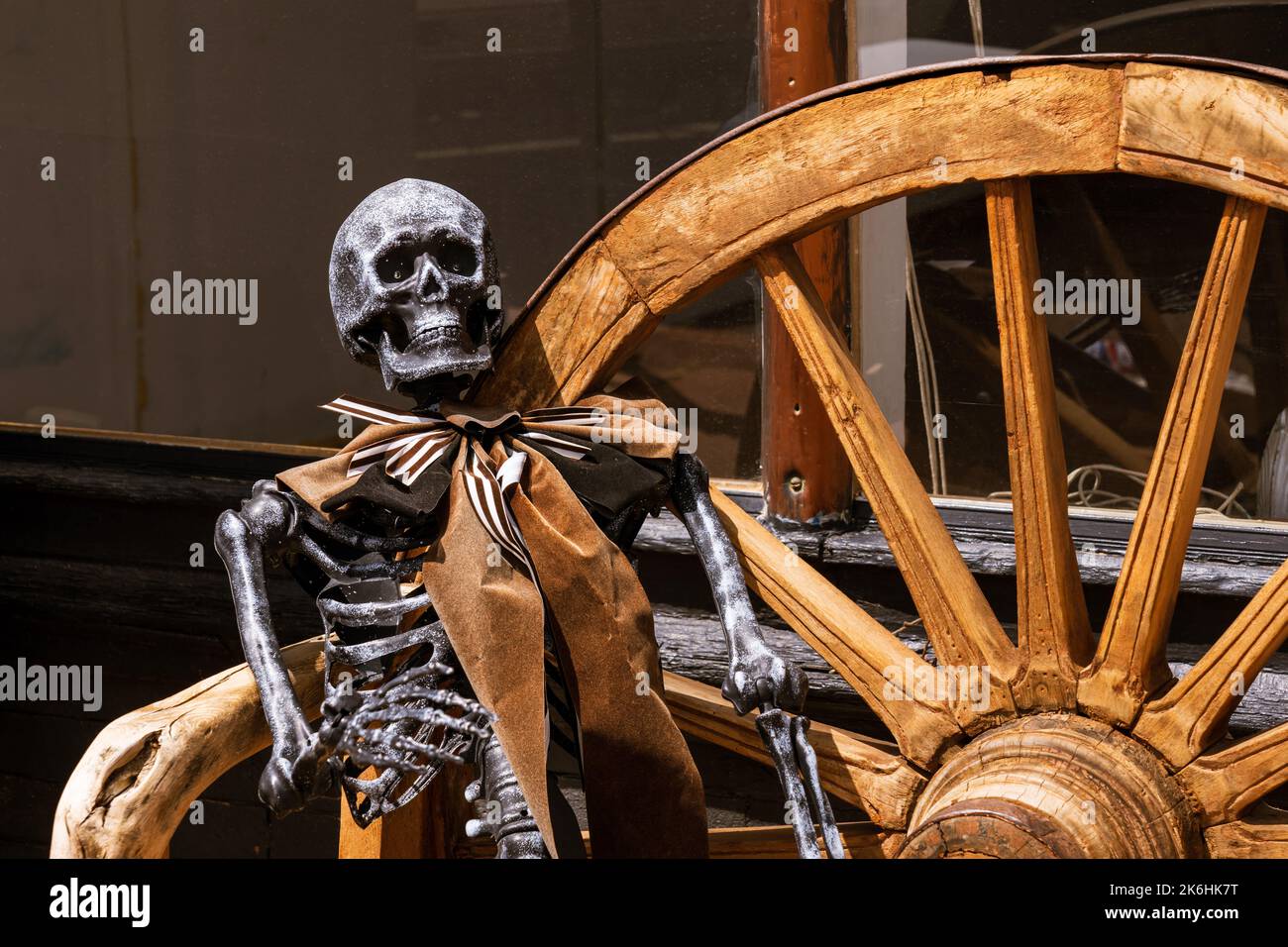 skeleton wearing a large bow around the neck sitting on a wagon wheel bench outdoors Stock Photo