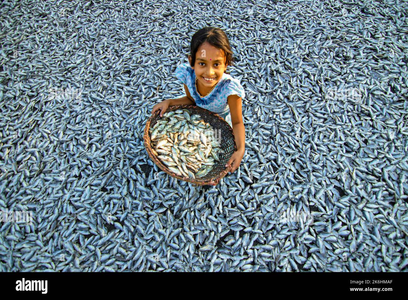 Women process small fishes for dry fish business. Workers cut and clean