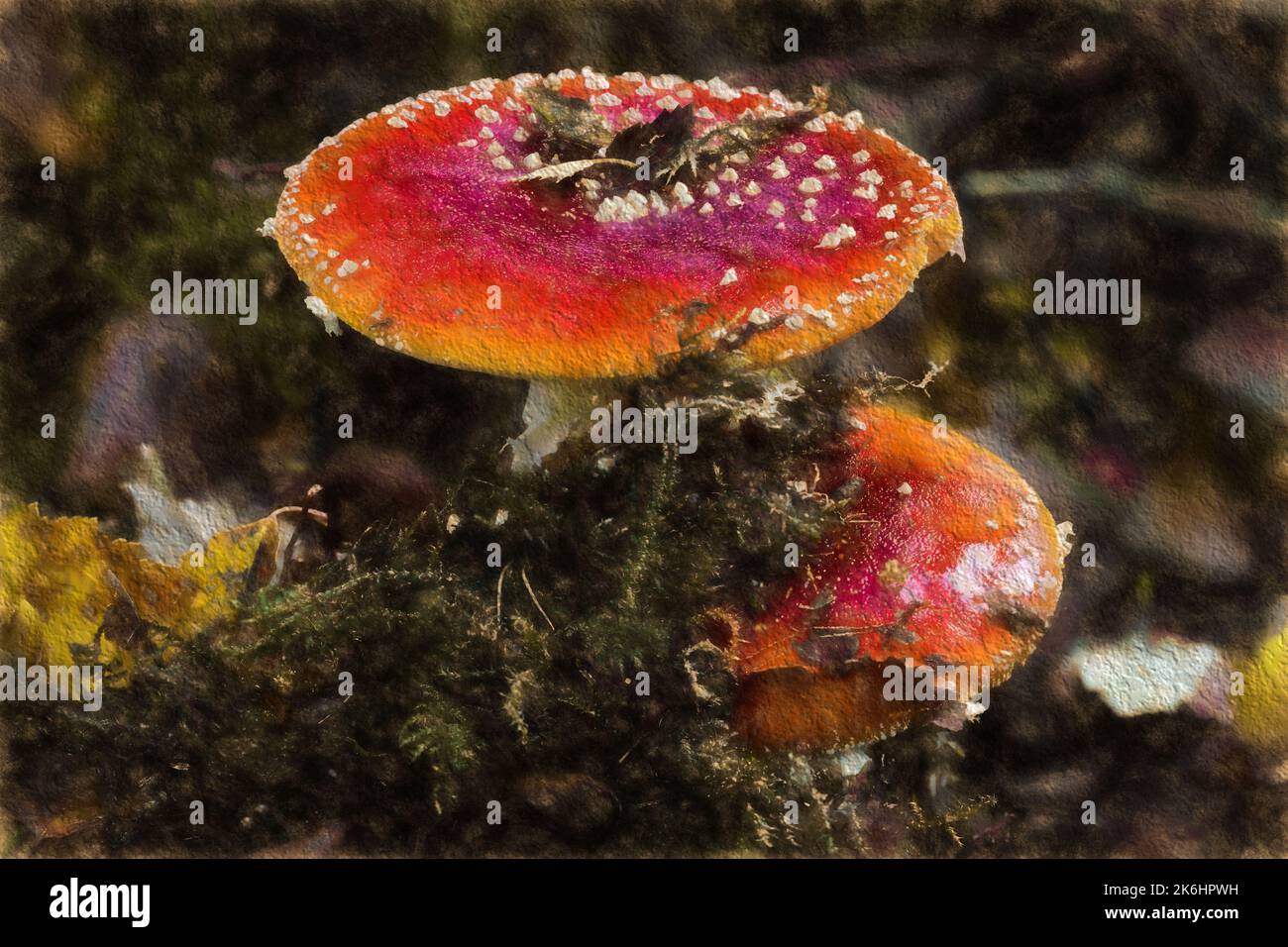 Digital abstract oil painting of Fly Agaric fungus in a autumn woodland
