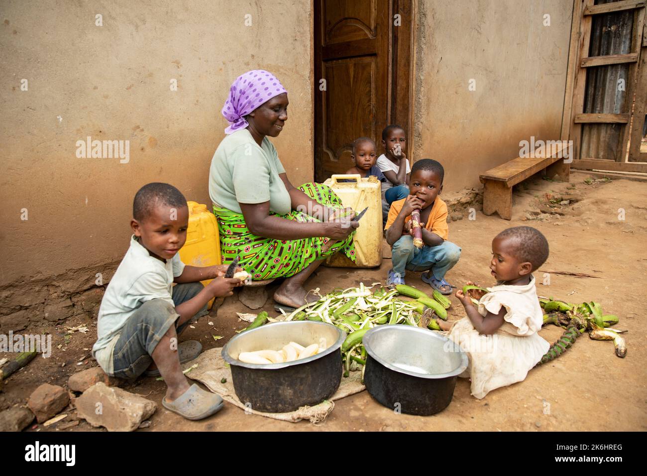 A grandmother prepares a meal of starchy banana (East African highland banana) known locally as Matooke, for her grandchildren in Kasese District, East Africa. Stock Photo