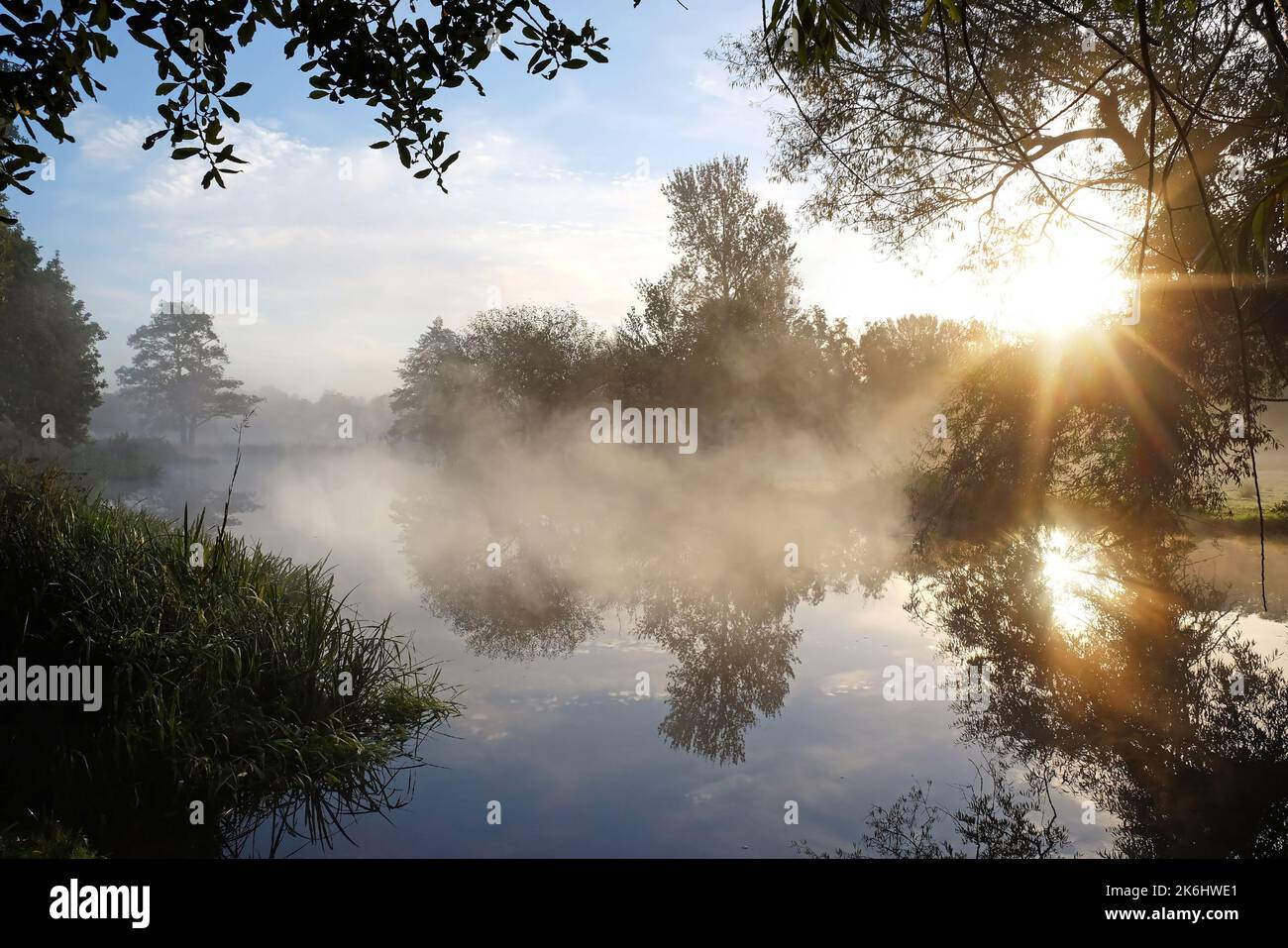 Sun rays shining through trees hi-res stock photography and images - Alamy