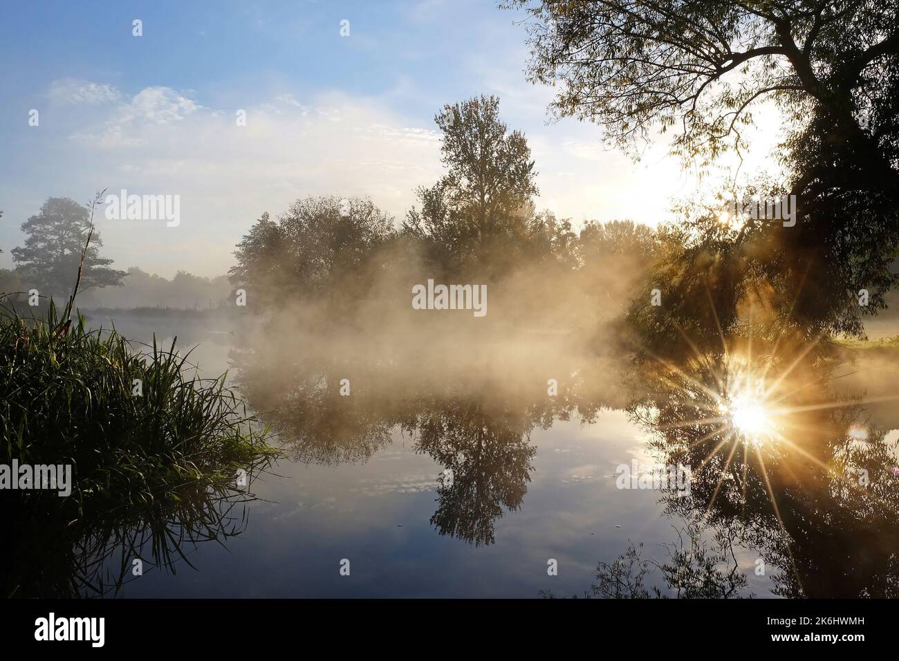 Sun rays through the trees on the River Wey, Guildford, Surrey, UK Stock Photo