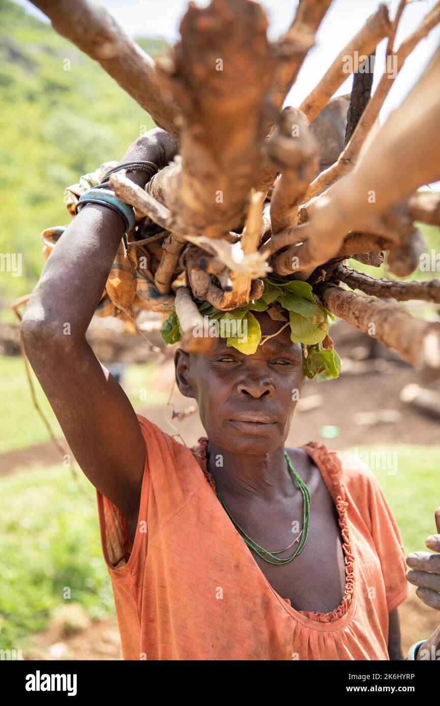 A woman carries a bundle of firewood on her head in Abim District, Uganda, East Africa. Stock Photo