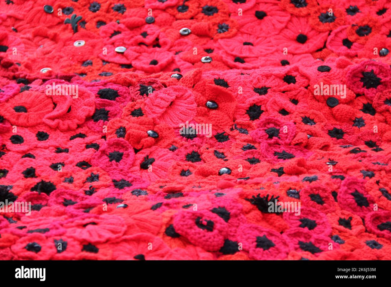 A Blanket of Knitted Red Remembrance Poppies Stock Photo Alamy