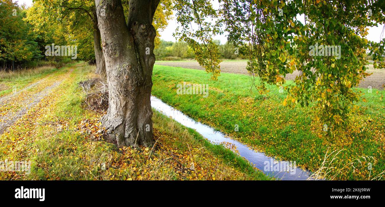 Herbstbild mit Weg und Wassergraben Stock Photo