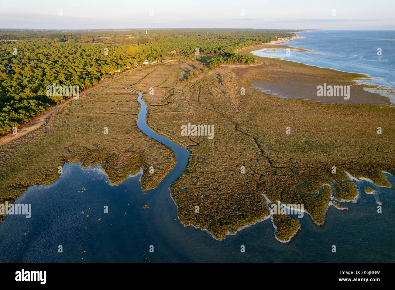 Aerial view of the Bonne Anse bay at low tide, La Coubre point, France Stock Photo