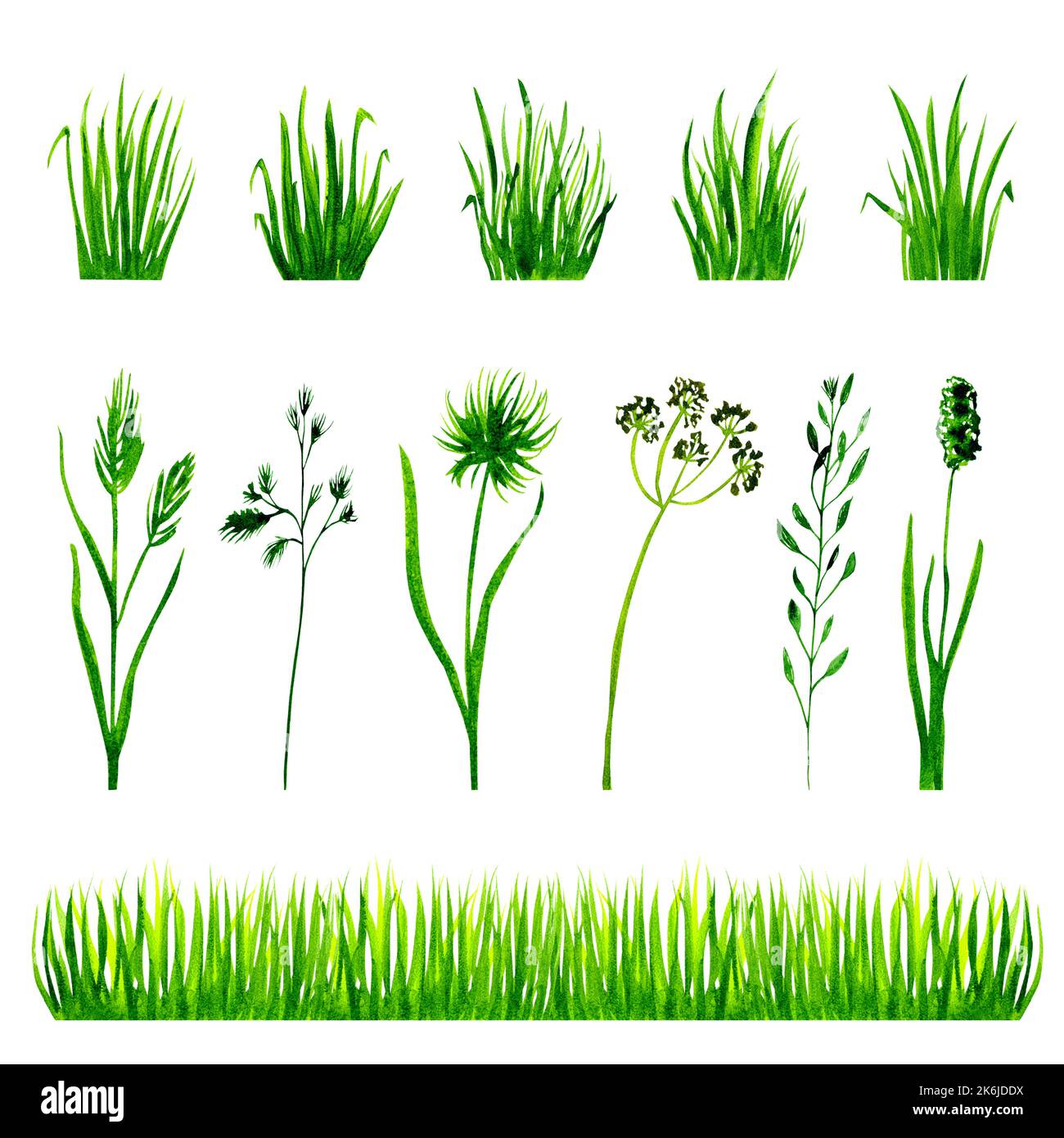 Watercolor green grass set isolated on white background Stock Photo - Alamy