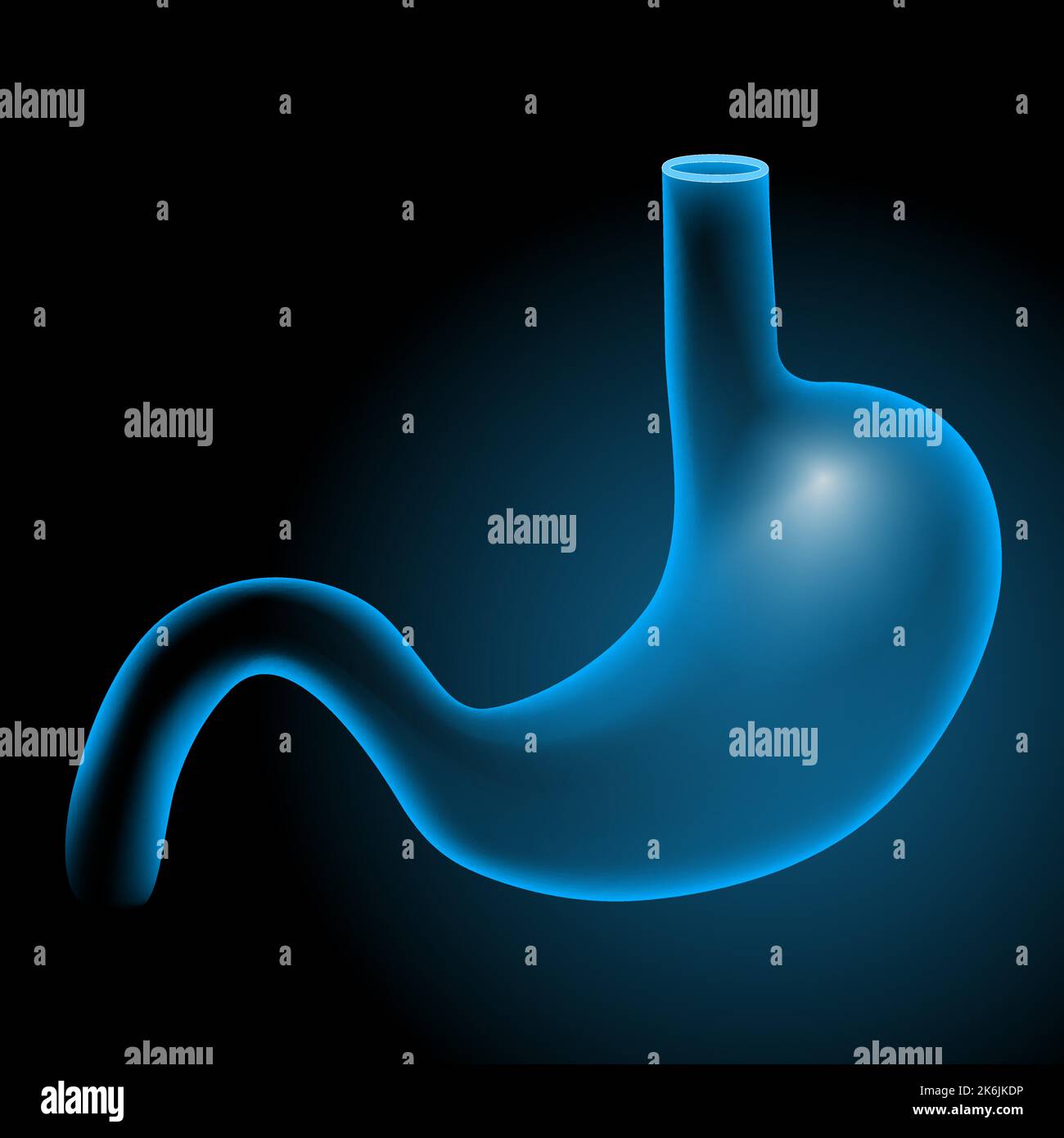 stomach on dark background. Human body anatomy. x-ray blue realistic. Vector poster Stock Vector