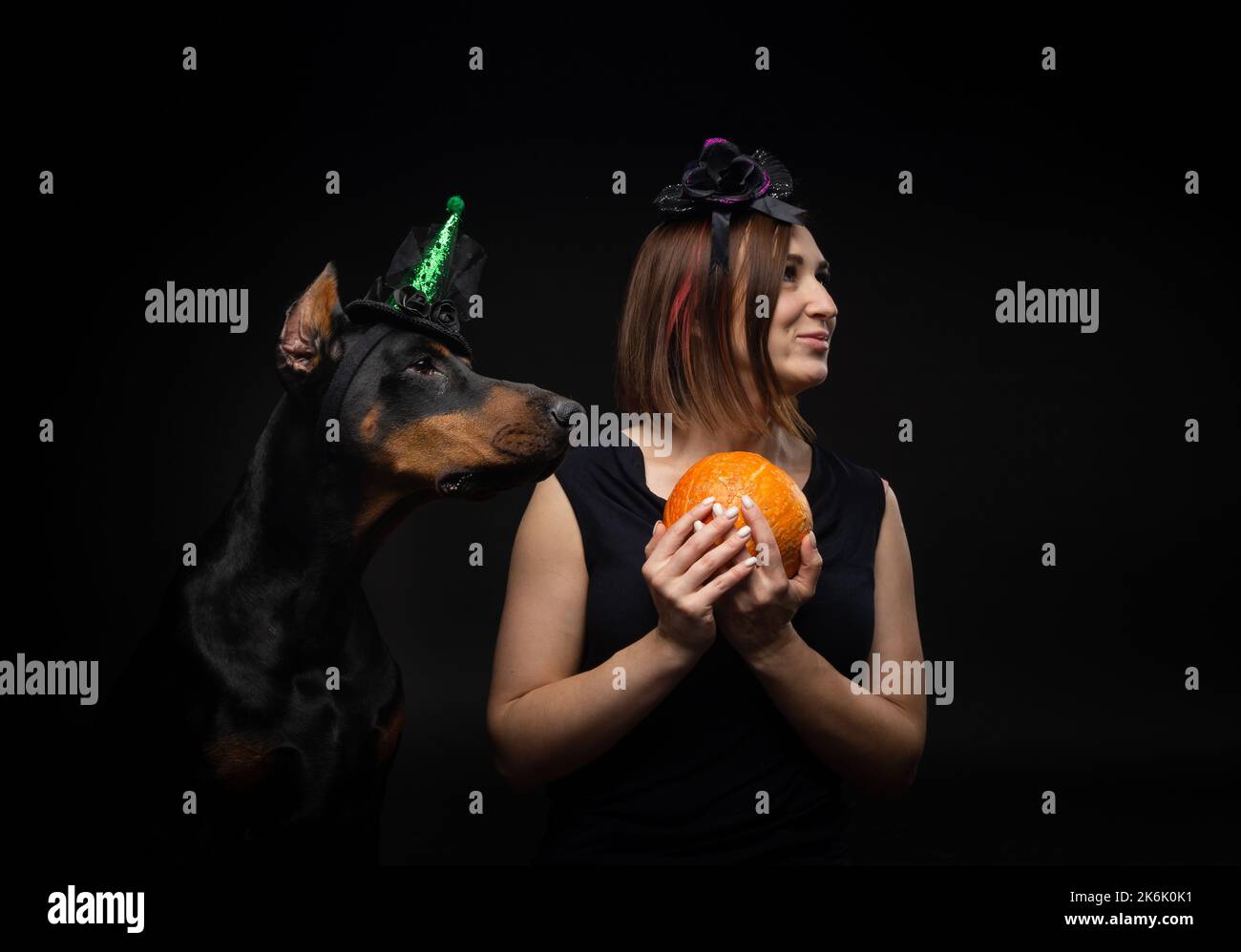 Portrait of a Doberman dog with a girl owner. In carnival costumes with a pumpkin. Isolated Studio photo on a black background. Stock Photo