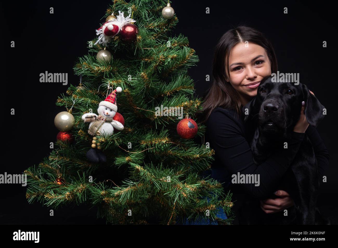 Portrait of a Labrador Retriever dog with its owner, near the new year's green tree. The picture was taken in a photo Studio on a black background. Stock Photo