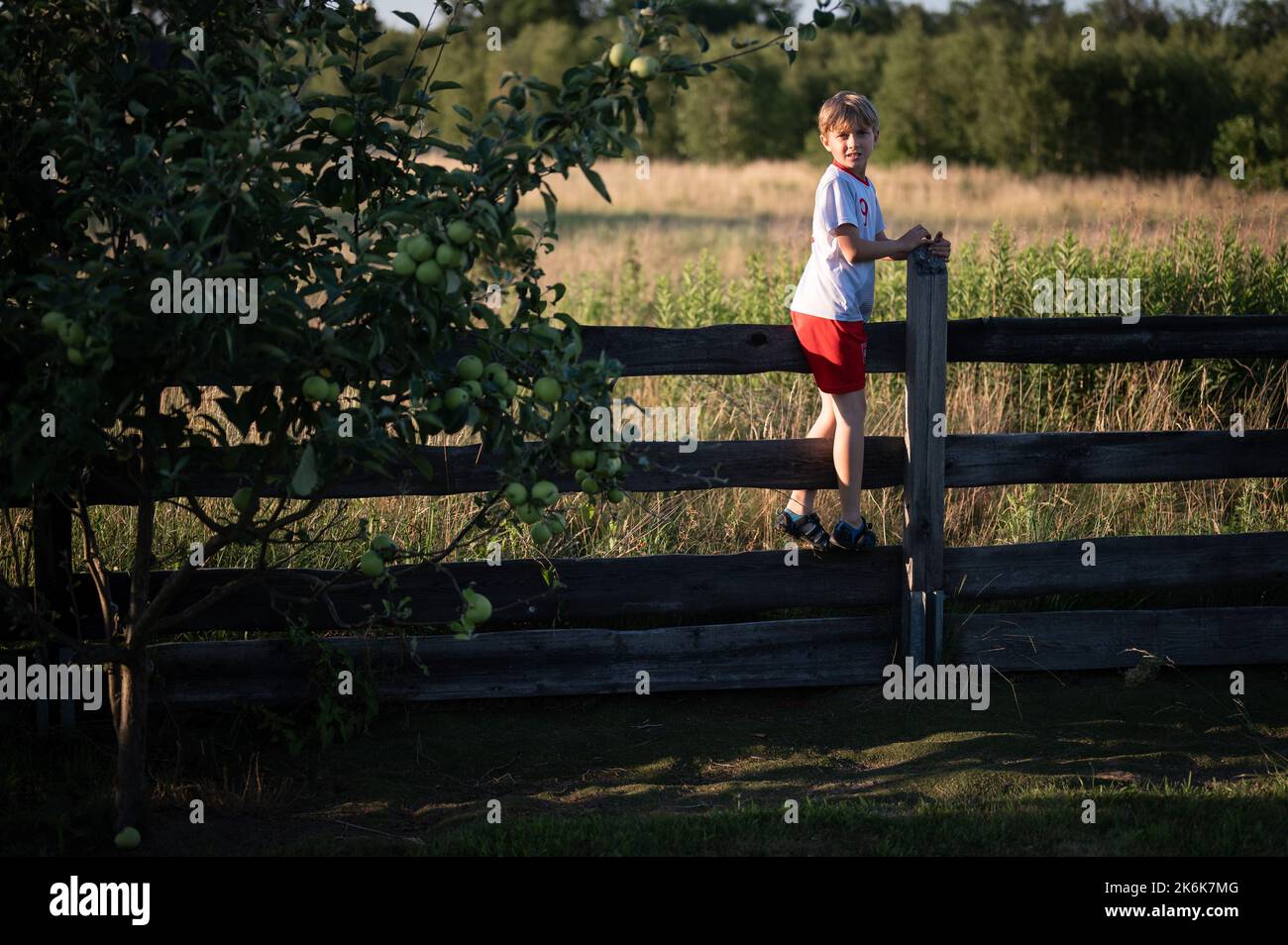 the young boy is walking over the wooden fence in the orchard Stock Photo