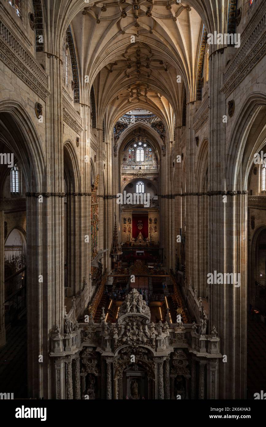 Catedral de Salamanca Stock Photo