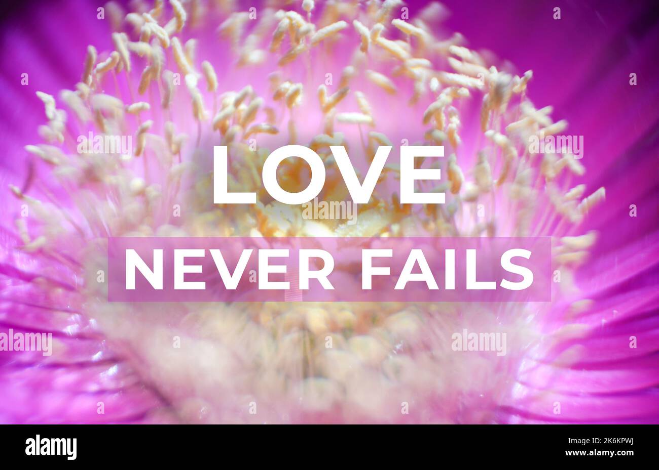 Biblical Inspirational Quotes Stock Photo Alamy