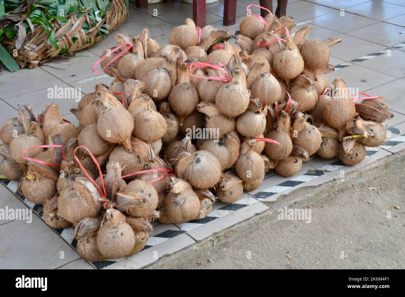 Pile of fresh organic coconut fruit at a food market in Port Vila on the island of Vanuatu Stock Photo