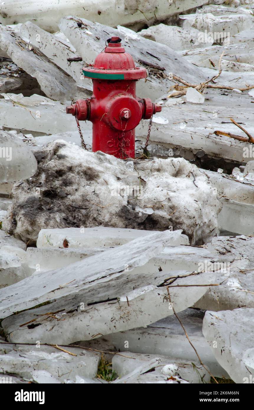 A fire hydrant normally sitting in a grassy area is surrounded by river