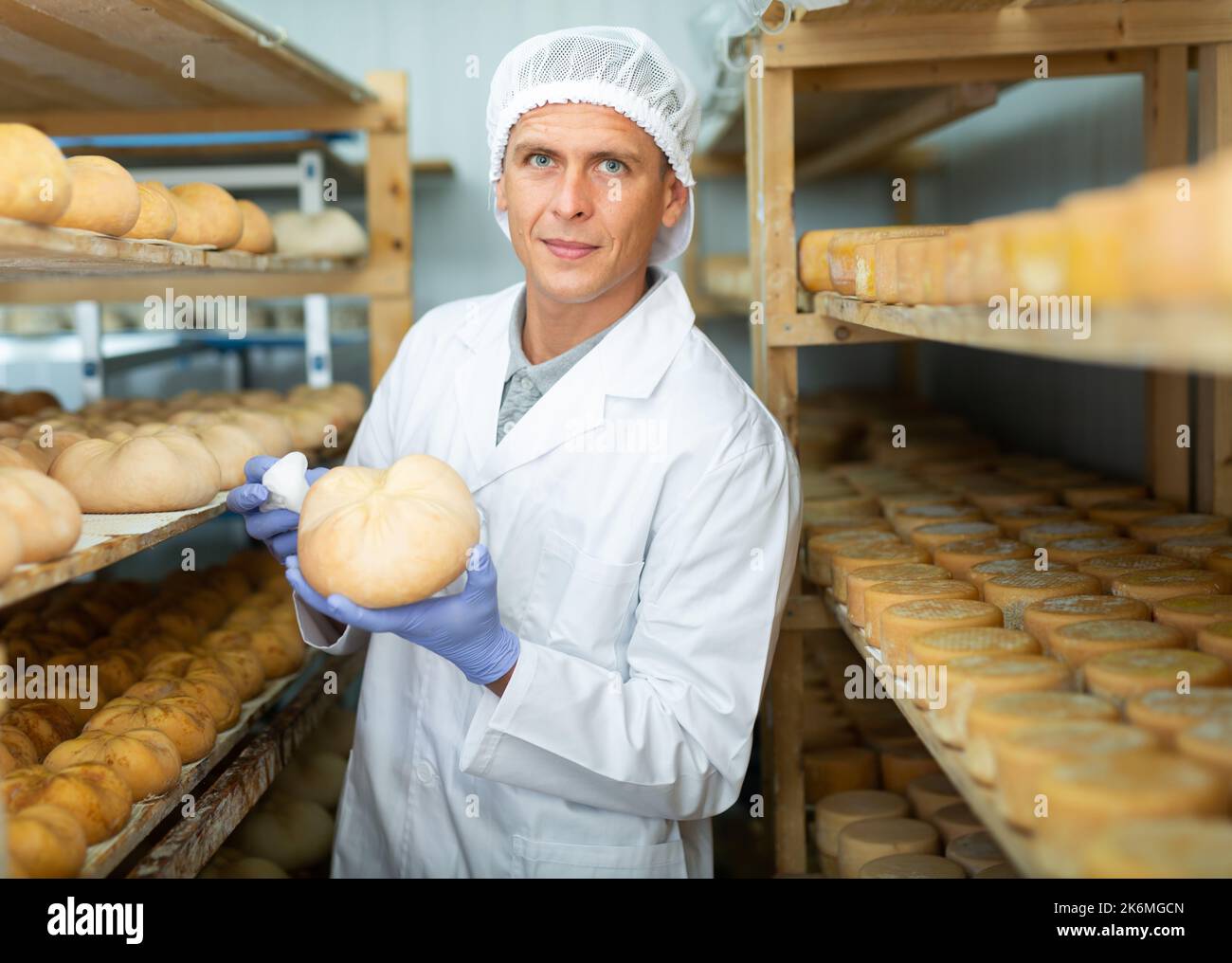 Cheese maker controlling maturing process of cheese wheels Stock Photo