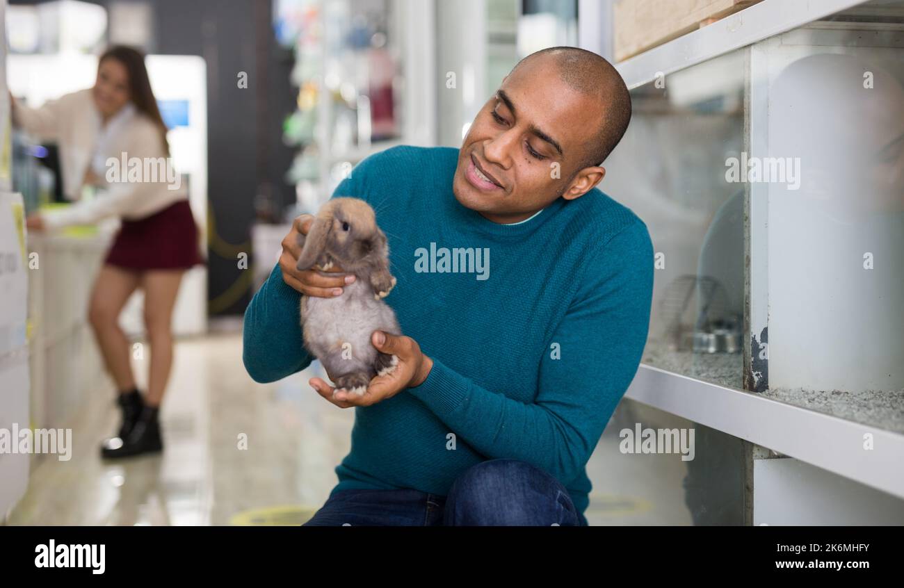 Rabbit accessory hi-res stock photography and images - Alamy